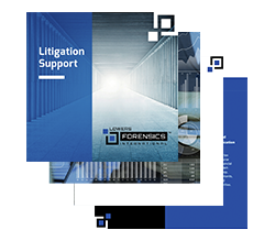 litigation-support